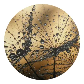 mata-ochronna-pod-krzeslo-podkladka-pod-fotel-krople-na-pajeczynie-fi-100