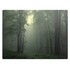 mata-ochronna-pod-krzeslo-do-pokoju-dzieciecego-mglisty-las-o-swicie-120x90