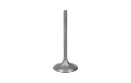 zawor-ssacy-silnika-gg-3044-in-or-gg-3044-in