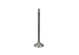 zawor-ssacy-silnika-gg-4034-in