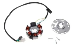 stator-iskrownik-6-cewek-derbi-senda-2008