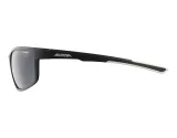 okulary-alpina-defey-plec-produkt-uniseks
