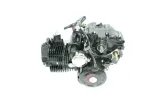 silnik-cg-150-cc-ac-tz-or-roy27028-producent-czesci-inny