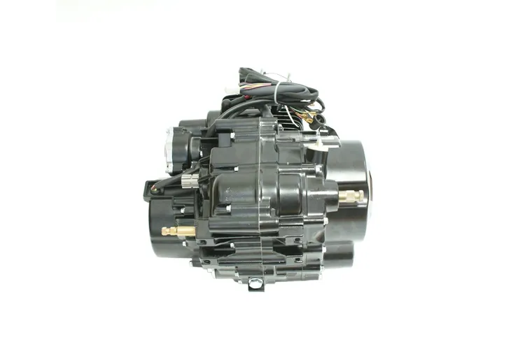 silnik-cg-150-cc-ac-tz-or-roy27028-numer-katalogowy-czesci-r17308