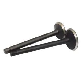 zestaw-zaworow-silnika-kubota-v2403-ssacy-plus-wydechowy