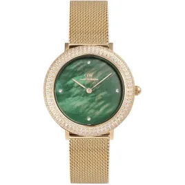 zegarek-damski-daniel-wellington-dw00100824-cyrkonie-zloty