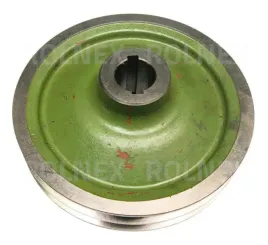 kolo-pasowe-bizon-rolmus-or-505805037
