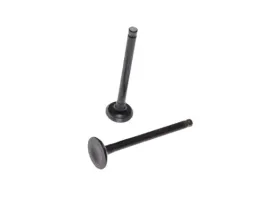 zawor-ssacy-wydechowy-gy6-50cc-or-std00671