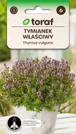 nasiona-ziol-tymianek-wlasciwy-ziola-do-ogrodu-toraf-316