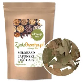milorzab-japonski-lisc-caly-ginkgo-biloba-hurt-30kg