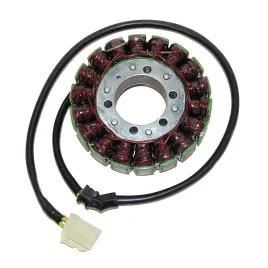 uzwojenie-alternatora-electrosport-do-triumph-tiger-1050-07-11-sprint-05-10