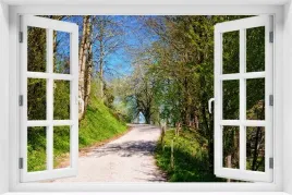 tapeta-flizelinowa-efekt-okno-3d-krajobraz-natura-park-drzewa-kr-168