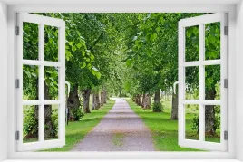 tapeta-flizelinowa-efekt-okno-3d-krajobraz-natura-park-drzewa-kr-208