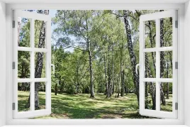 tapeta-flizelinowa-efekt-okno-3d-krajobraz-natura-las-drzewa-kr-230