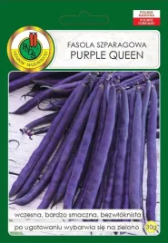 fasola-szparagowa-purple-queen-30-g-pnos