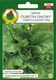 szpinak-olbrzym-zimowy-oza-20-g-pnos