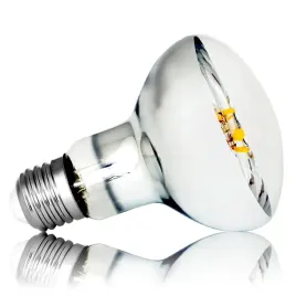 zarowka-led-e27-filament-8w-reflektor-grzybek-r80-barwa-ciepla