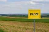 pasze-tablica-ostrzegawcza-kolor-zolty-stan-nowy