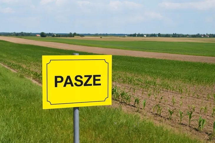 pasze-tablica-ostrzegawcza-kolor-zolty-kod-producenta-pasze