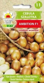 cebula-szalotka-ambition-f1-srednio-wczesna