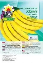 fasola-goldmarie-typ-mamut-10g