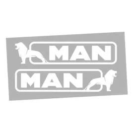 naklejka-man-lew-na-szybke-globu-drzwi