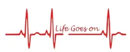 naklejka-samochodowa-cytat-zycia-life-goes-on-zycie-toczy-sie-dalej-motto