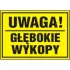 Kolor / wzór produktu #8