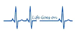 naklejka-samochodowa-los-sentencja-life-goes-on-zycie-toczy-sie-dalej