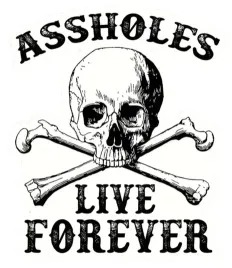 naklejka-wlepa-dupki-zyja-wiecznie-assholes-live-forever-jdm-tuning-do-auta