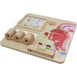 masterkidz-tablica-edukacyjna-zmysl-wechu