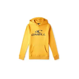 dziecieca-bluza-oneill-logo-hoodie-128