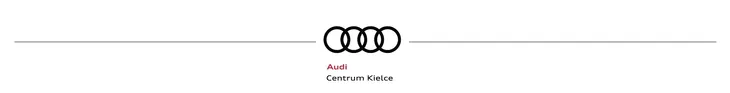 klamra-mocujaca-audi-oe-stan-nowy
