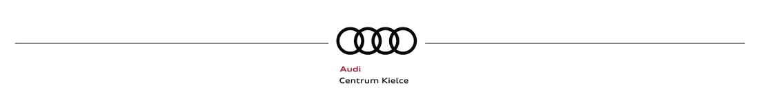 klamra-mocujaca-audi-oe