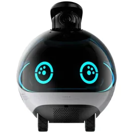inteligentny-robot-towarzyszacy-enabot-ebo-x