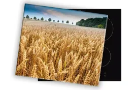 szklana-deska-na-kuchenke-60x52-077a-zboze