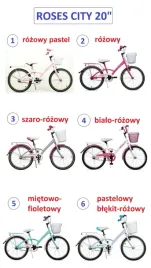 rower-dla-dziewczynki-20-cali-turbo-roses-rozne-kolory-polski-producent