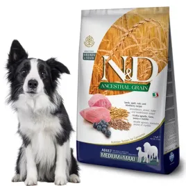 sucha-karma-dla-psa-farmina-nd-ancestral-grain-adult-medium-maxi-lamb-12kg