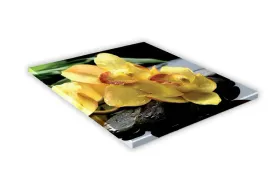 szklana-deska-kuchenna-30x30-435f-zolta-orchidea