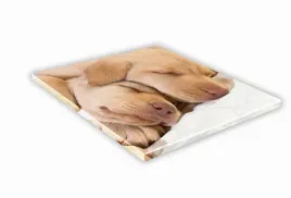 szklana-deska-kuchenna-30x30-465f-labrador