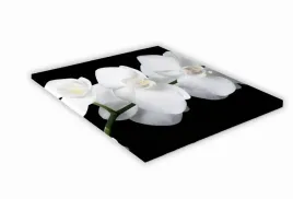 szklana-deska-kuchenna-35x35-438g-biala-orchidea