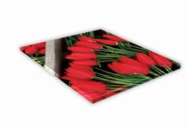 szklana-deska-kuchenna-35x35-446g-tulipany
