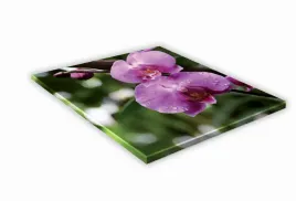 szklana-deska-kuchenna-40x40-441h-rozowa-orchidea