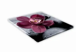 szklana-deska-kuchenna-40x40-451h-bordowa-orchidea