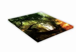szklana-deska-kuchenna-40x40-453h-most-w-lesie
