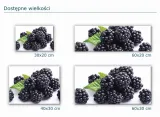 szklana-deska-kuchenna-40x30-245b-jezyny-stan-nowy