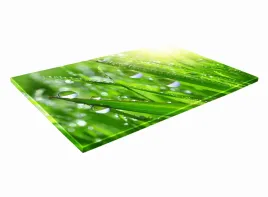 szklana-deska-kuchenna-40x30-402b-trawa