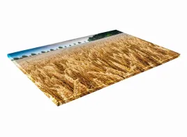 szklana-deska-kuchenna-40x30-410b-zboze