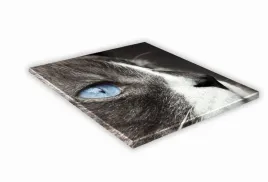 szklana-deska-kuchenna-30x30-470f-ojos-azules