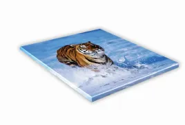 szklana-deska-kuchenna-35x35-483g-tygrys